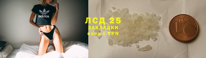 СК Строитель